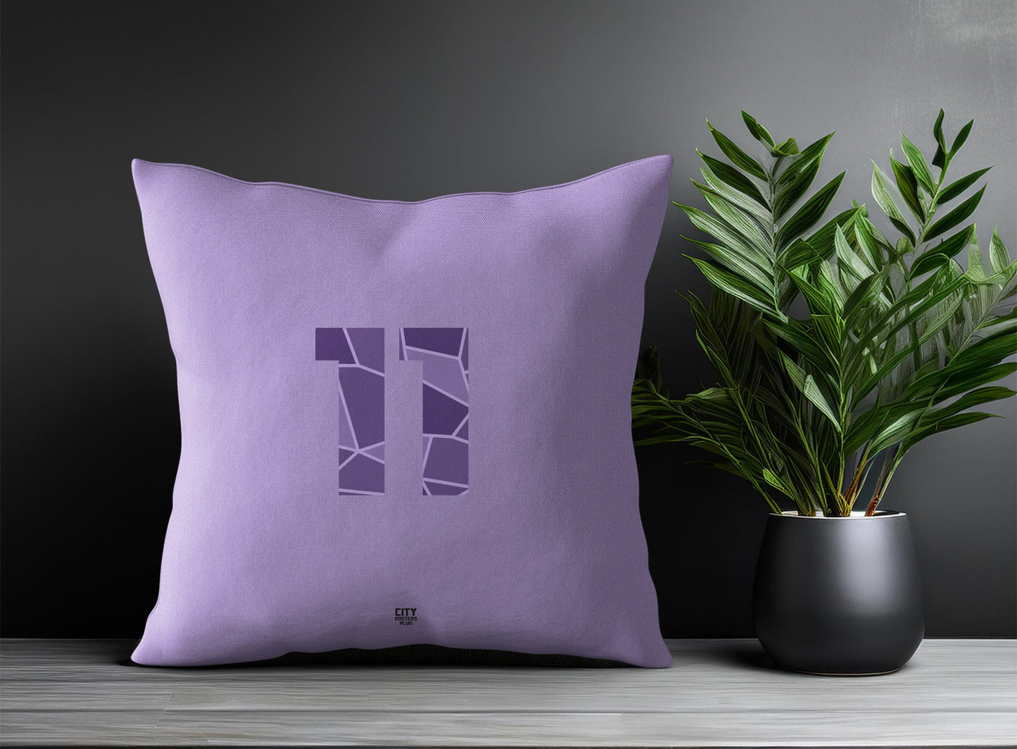 Print Deliver Plus 11 Number Square & Rectangle Pillow Cases | Modern Numeric Throw Pillow Covers 