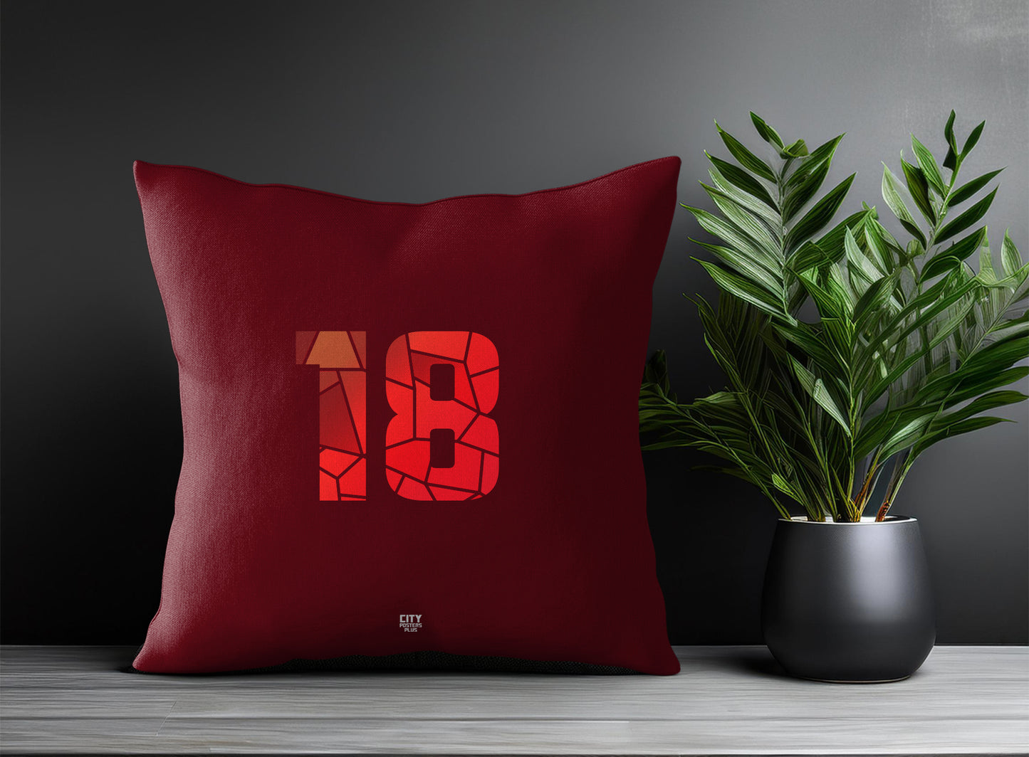 Print Deliver Plus 18 Number Square & Rectangle Pillow Cases | Modern Numeric Throw Pillow Covers 