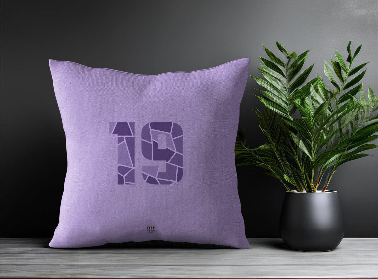Print Deliver Plus 19 Number Square & Rectangle Pillow Cases | Modern Numeric Throw Pillow Covers 