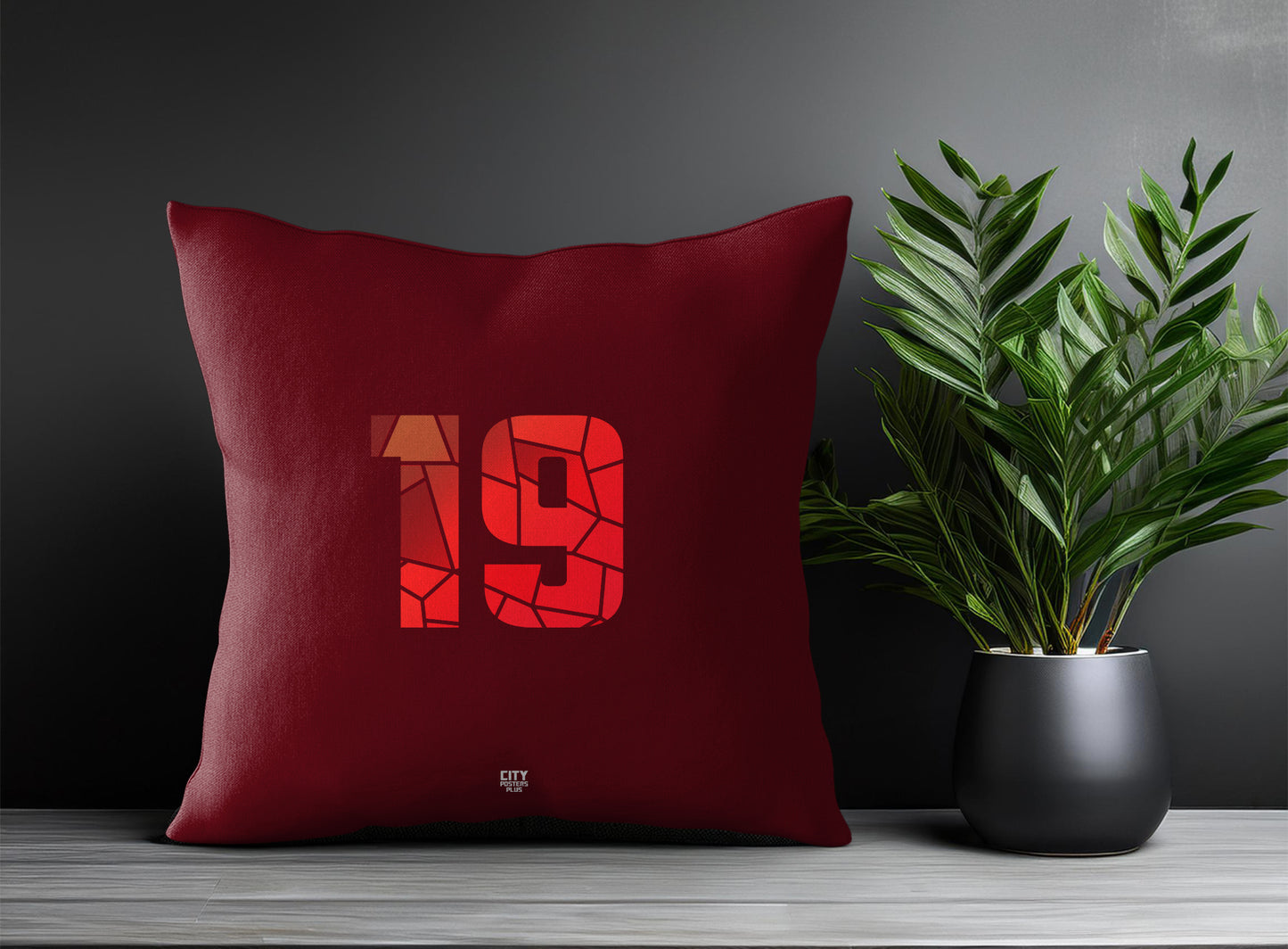 Print Deliver Plus 19 Number Square & Rectangle Pillow Cases | Modern Numeric Throw Pillow Covers 