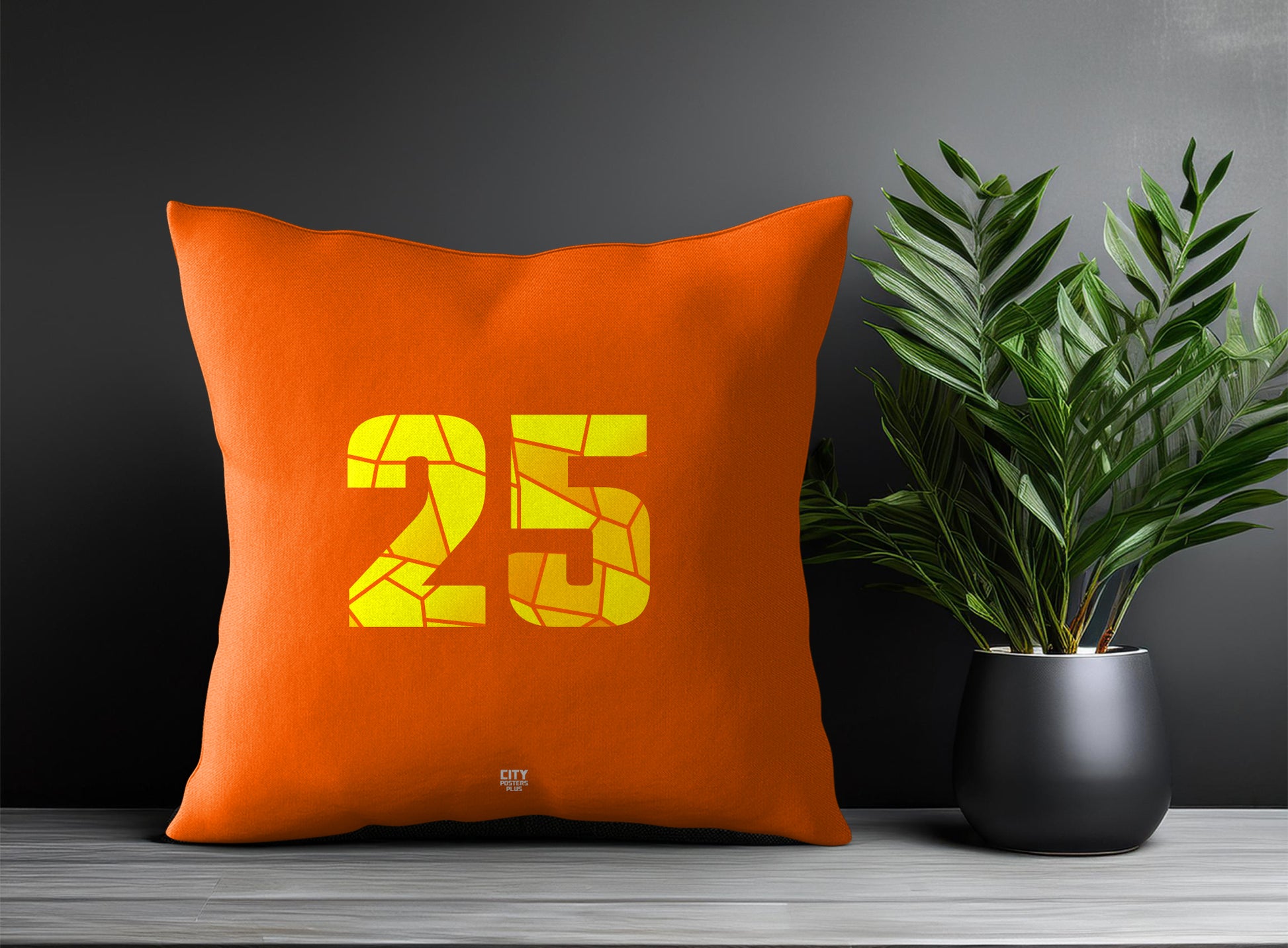 Print Deliver Plus 25 Number Square & Rectangle Pillow Cases | Modern Numeric Throw Pillow Covers 