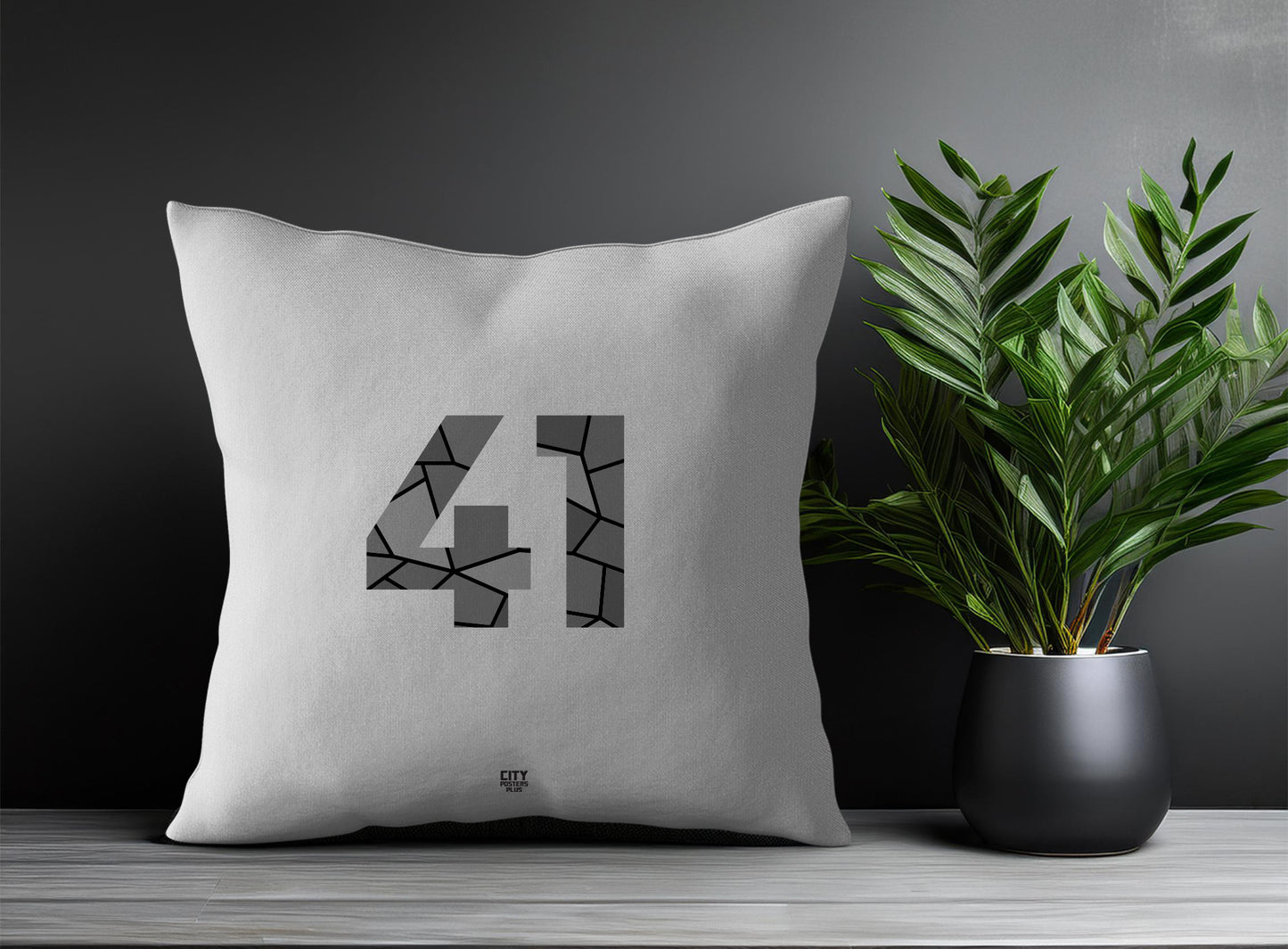 Print Deliver Plus 41 Number Square & Rectangle Pillow Cases | Modern Numeric Throw Pillow Covers 