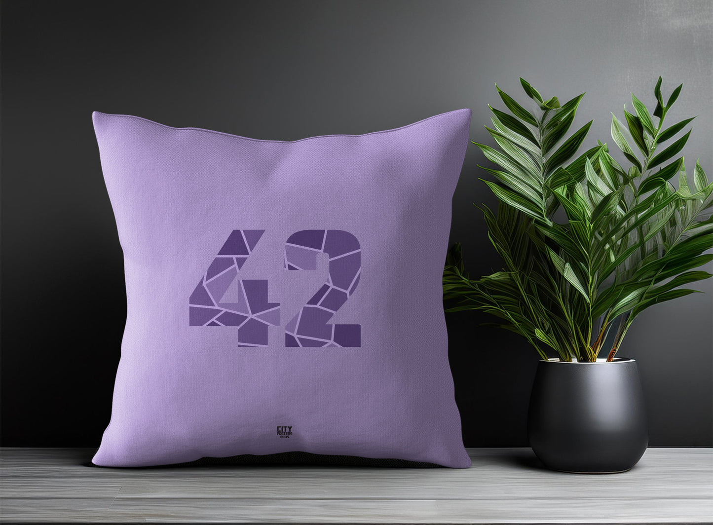 Print Deliver Plus 42 Number Square & Rectangle Pillow Cases | Modern Numeric Throw Pillow Covers 