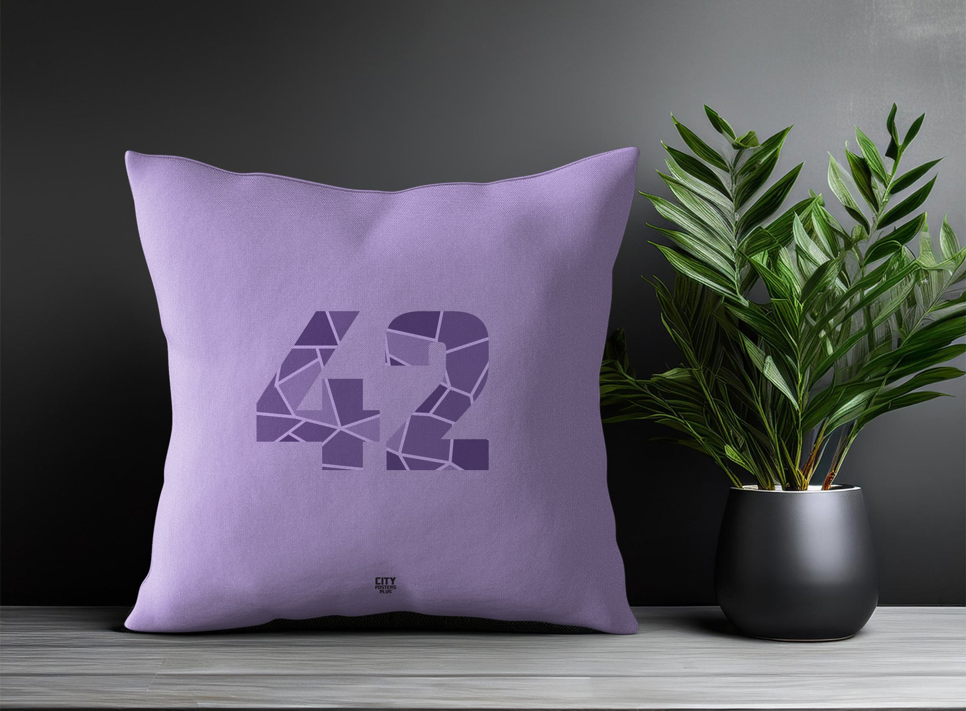 Print Deliver Plus 42 Number Square & Rectangle Pillow Cases | Modern Numeric Throw Pillow Covers 