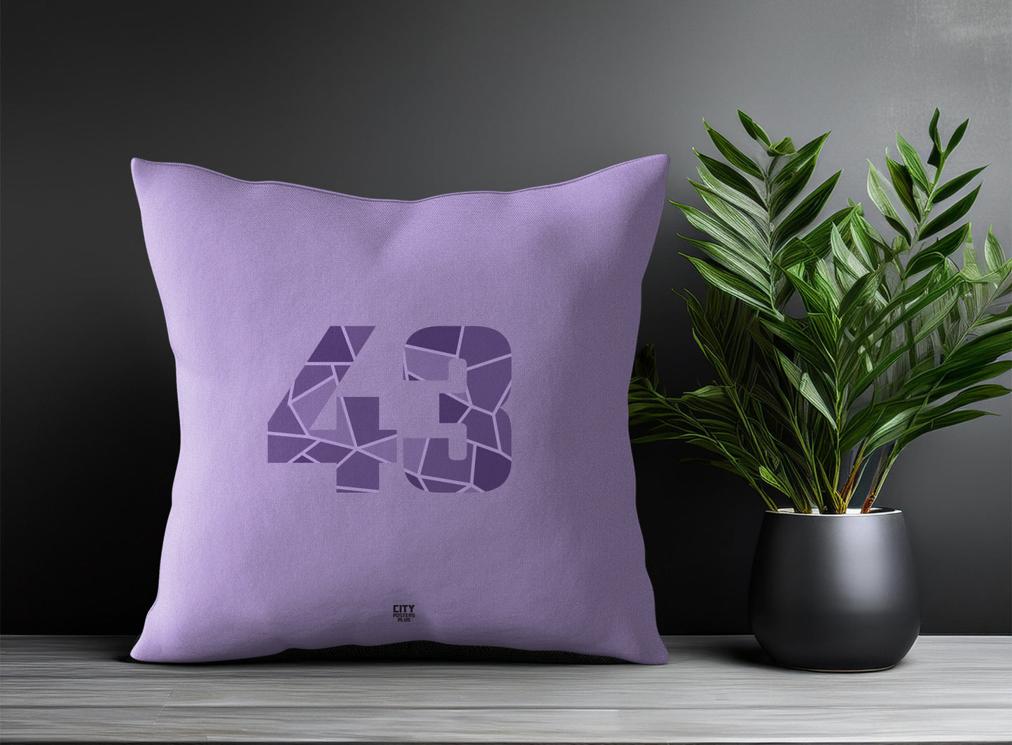 Print Deliver Plus 43 Number Square & Rectangle Pillow Cases | Modern Numeric Throw Pillow Covers 