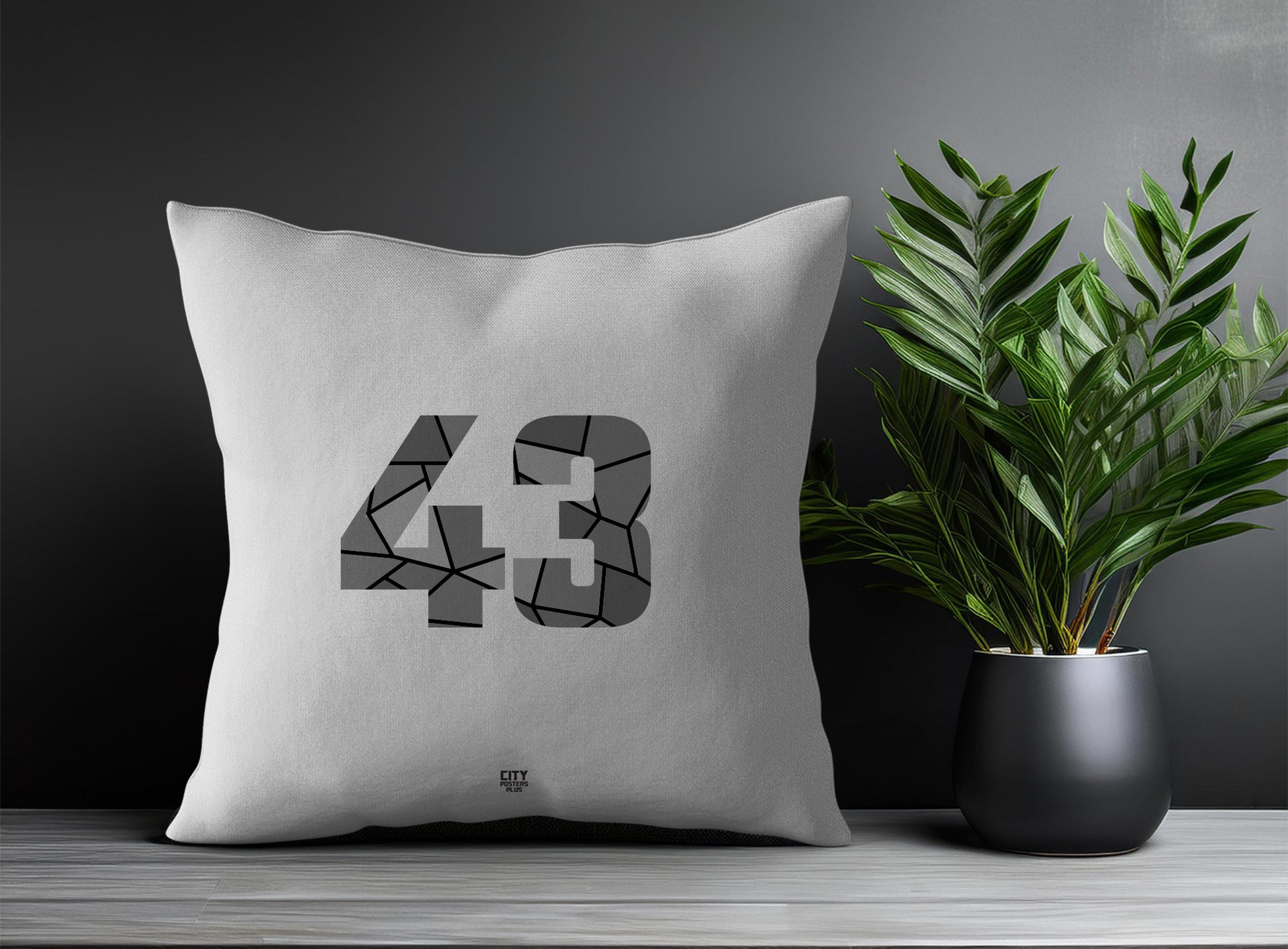 Print Deliver Plus 43 Number Square & Rectangle Pillow Cases | Modern Numeric Throw Pillow Covers 