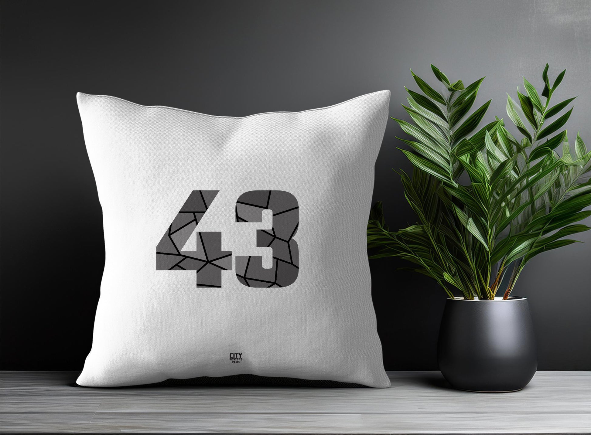 Print Deliver Plus 43 Number Square & Rectangle Pillow Cases | Modern Numeric Throw Pillow Covers 