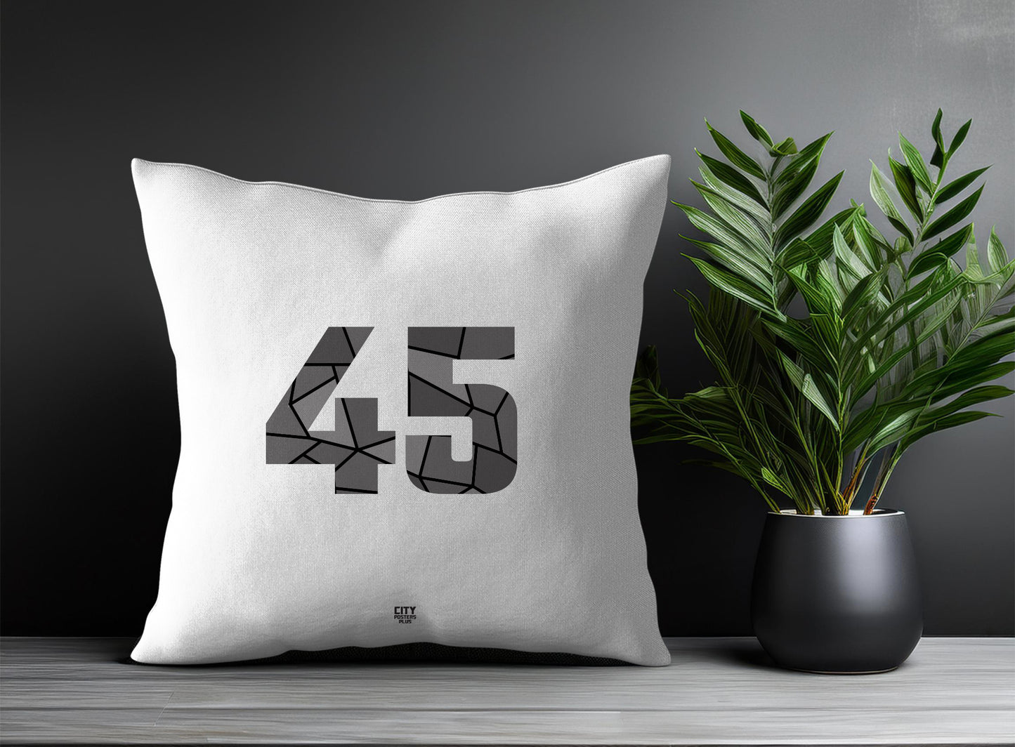 Print Deliver Plus 45 Number Square & Rectangle Pillow Cases | Modern Numeric Throw Pillow Covers 