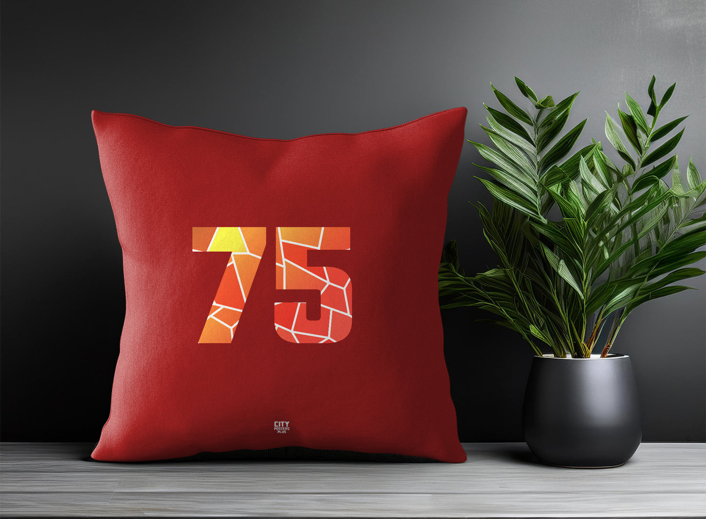Print Deliver Plus 75 Number Square & Rectangle Pillow Cases | Modern Numeric Throw Pillow Covers 