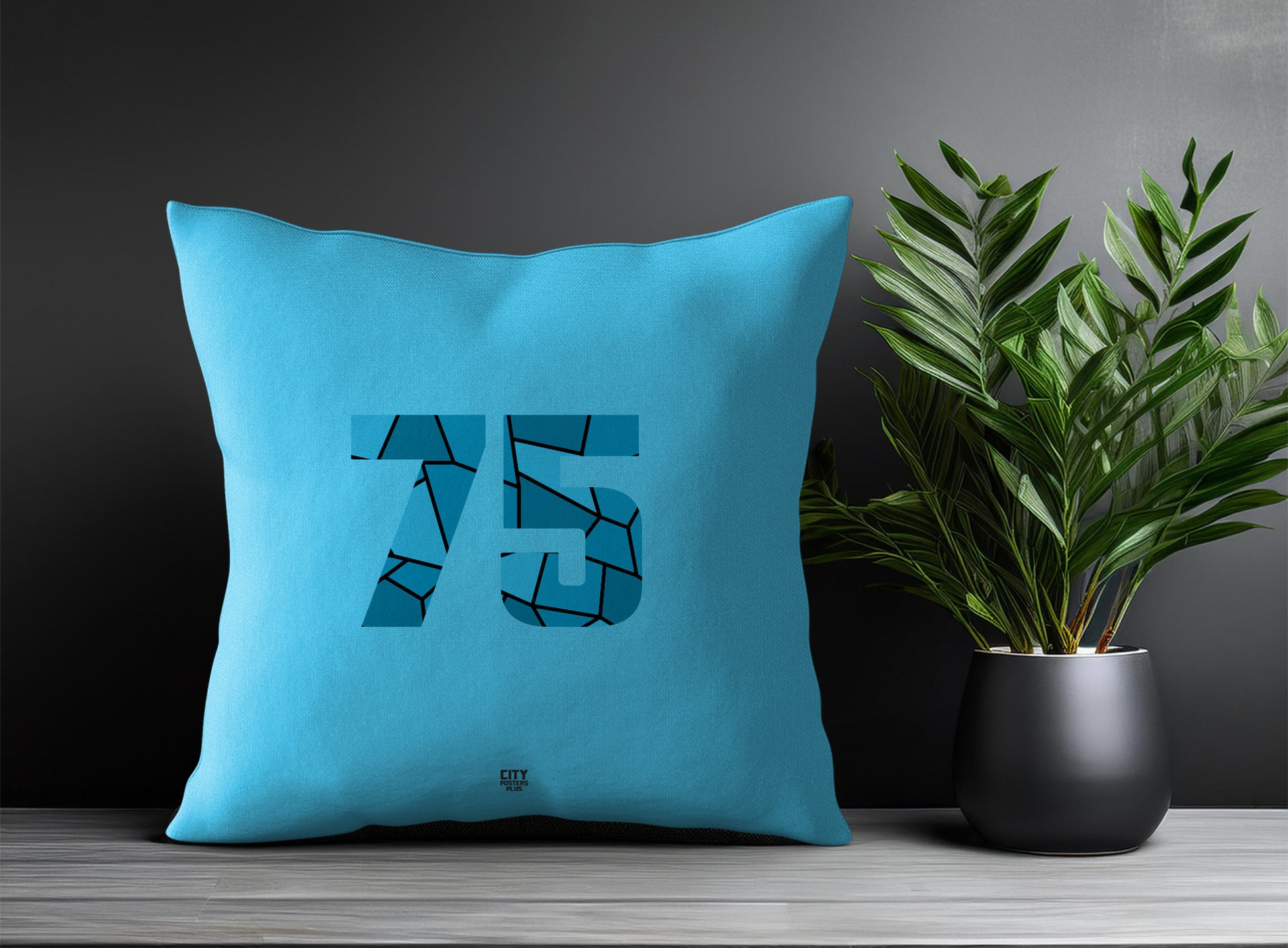 Print Deliver Plus 75 Number Square & Rectangle Pillow Cases | Modern Numeric Throw Pillow Covers 